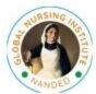 Global Nursing Institute, Nanded